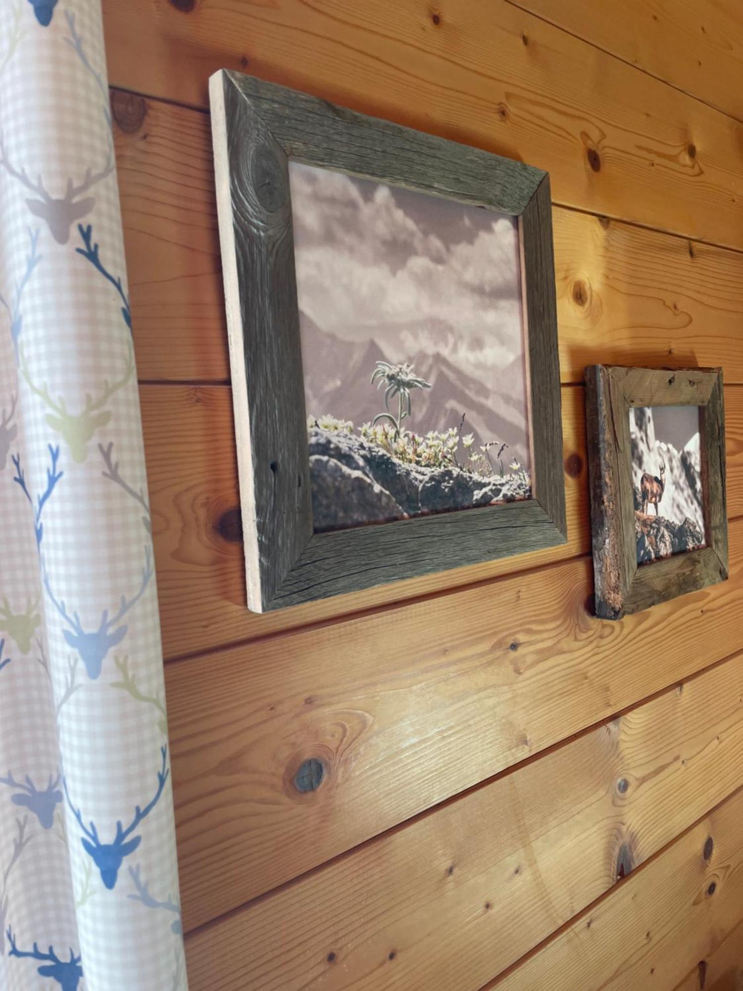 Moabauer Villa Wagrain Dış mekan fotoğraf